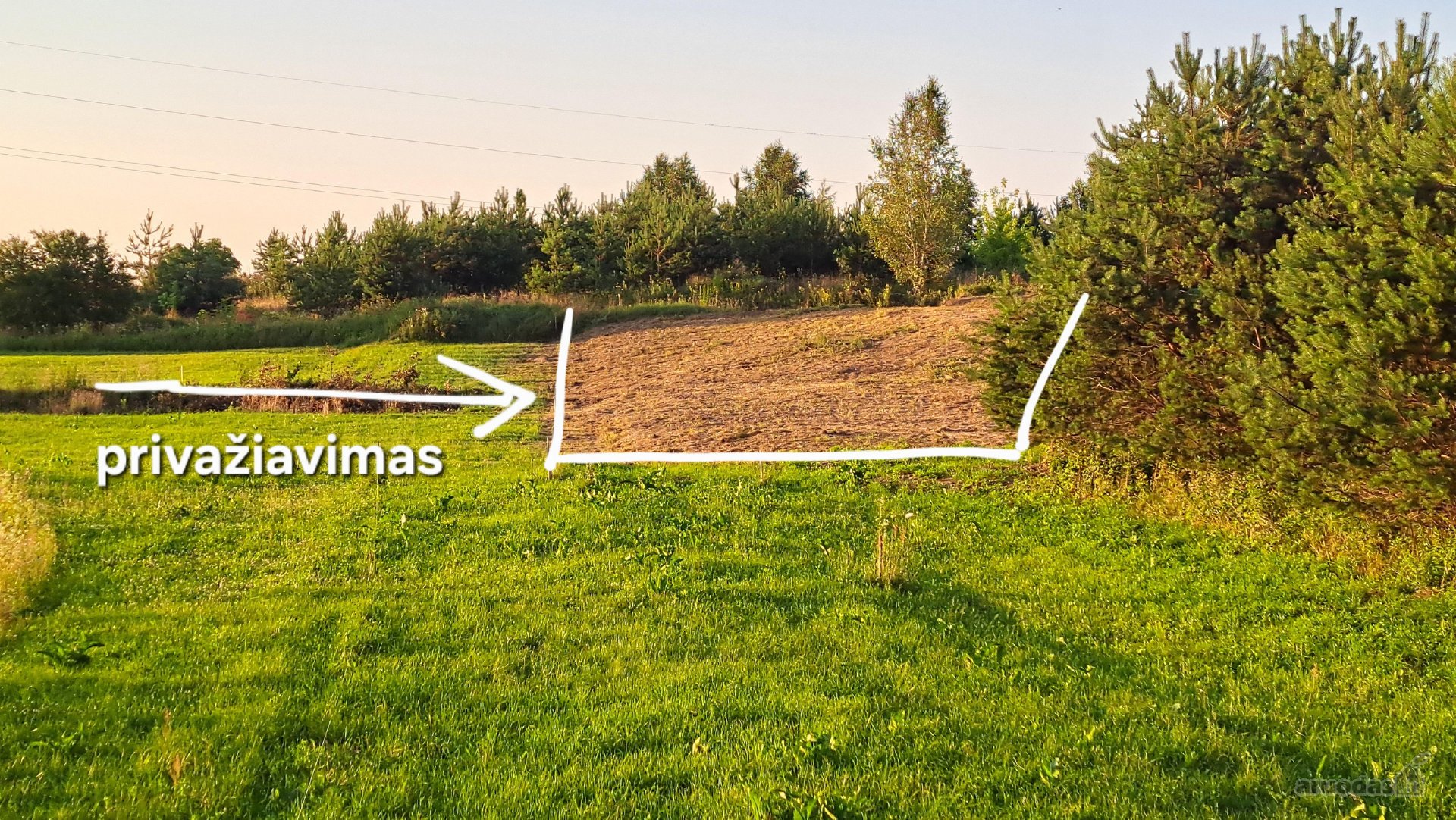 Namų valdos sklypas laukia šeimininko.