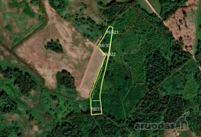 Parduodamas 12,81 ha miškas Vilniaus raj.