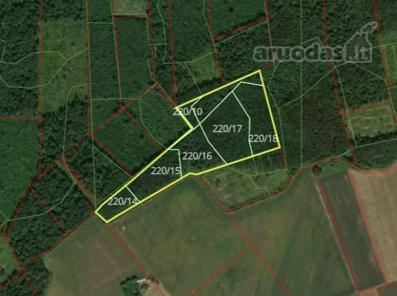 Parduodamas 6,4 ha miškas Jurbarko raj.