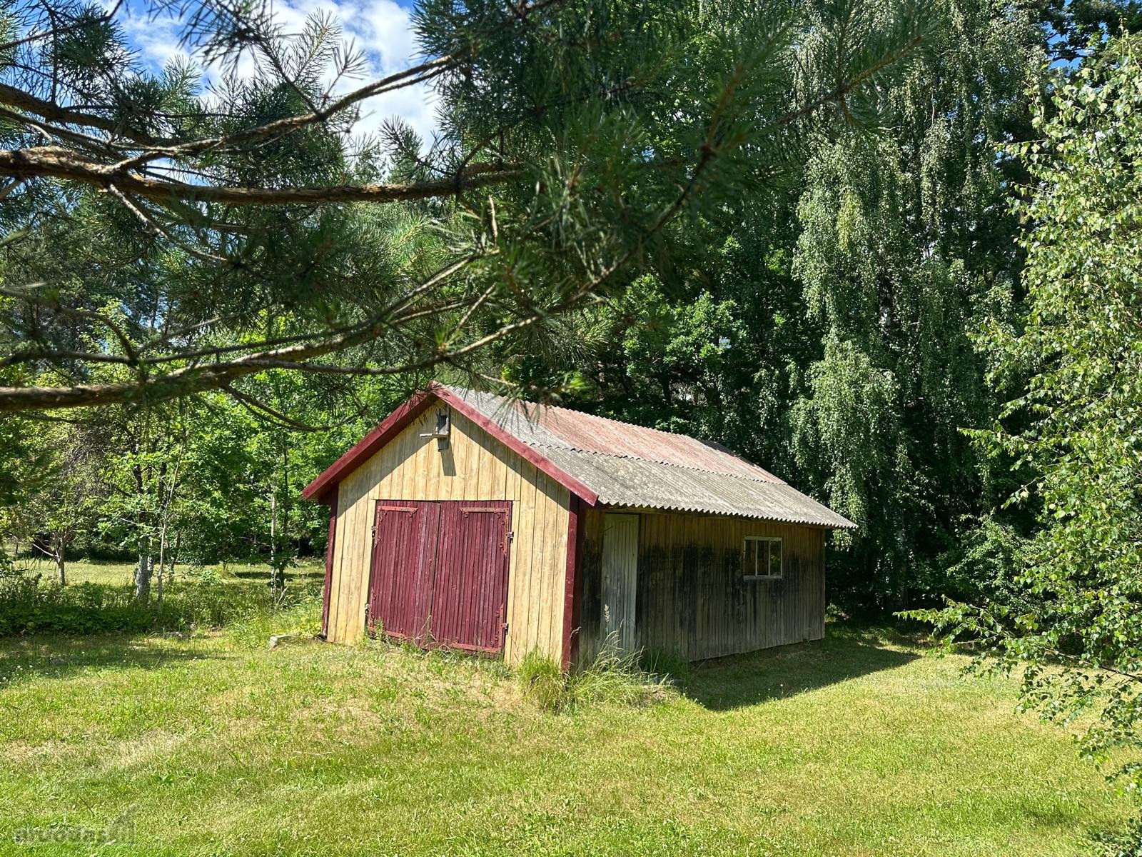 Sklypas šalia pušyno. Parduodama Viduklės sen