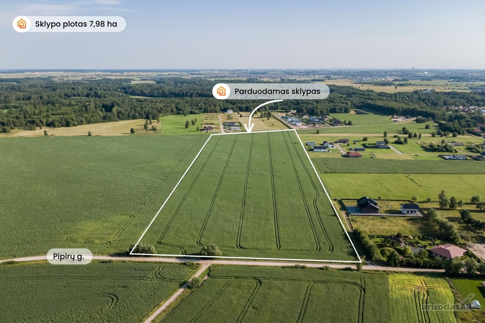 Radailiai – viena patraukliausių Klaipėdos