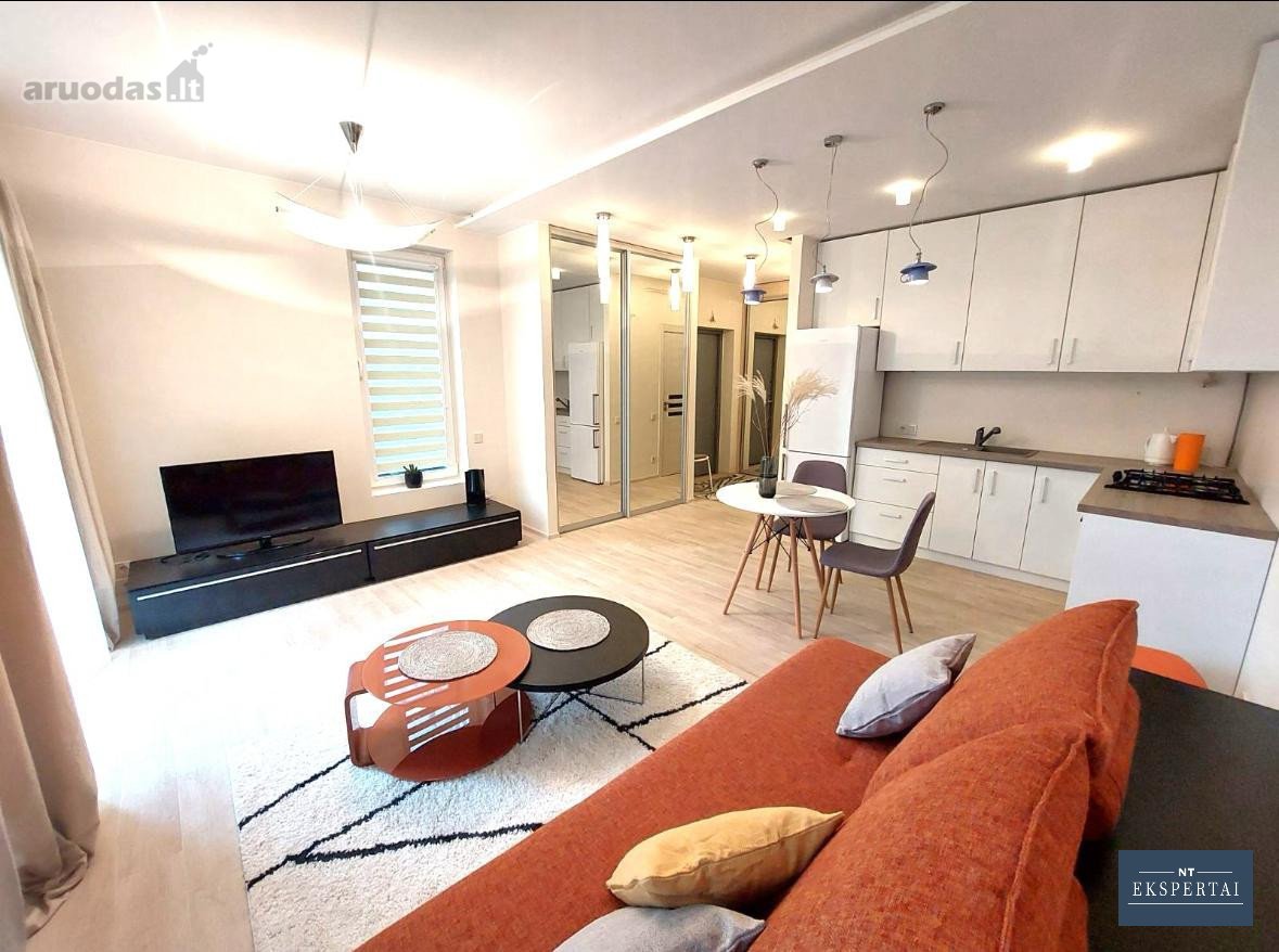Nuomojamas jaukus studio tipo butas su