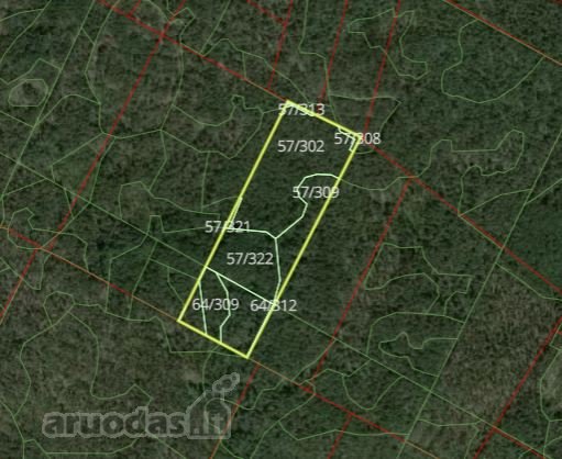 Parduodamas 5,9 ha miškas Jurbarko raj.