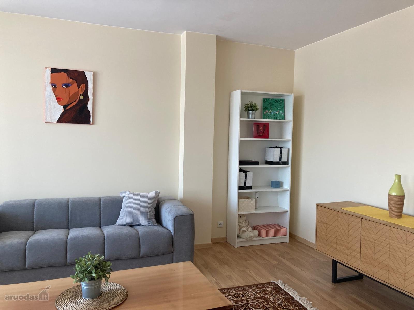 Po kapitalinio remonto išnuomojamas šviesus,