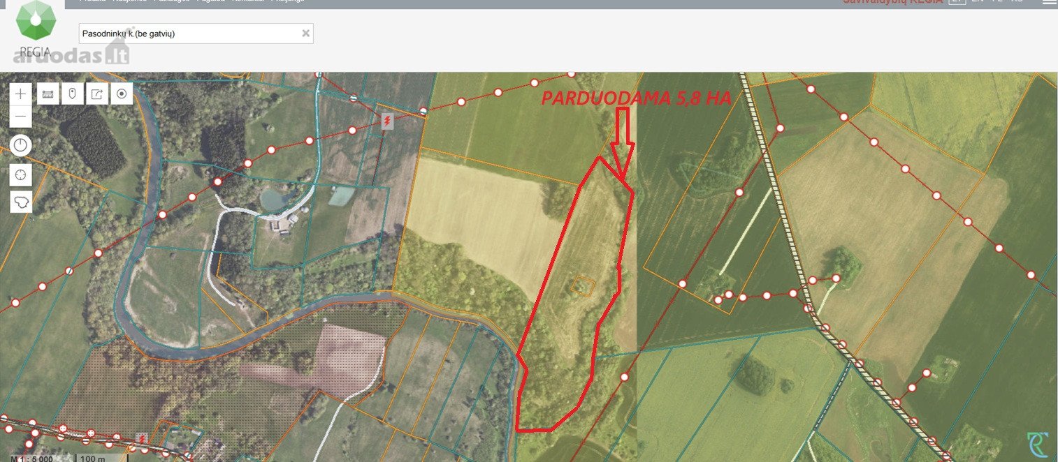 Upės pakrantė, Gelvonų sen. parduodamas 5,80