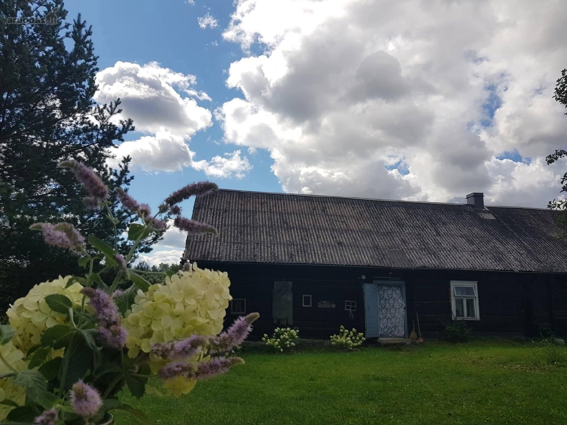 Sodyba Prie Anykščių(vikonys. 2,5 km iki