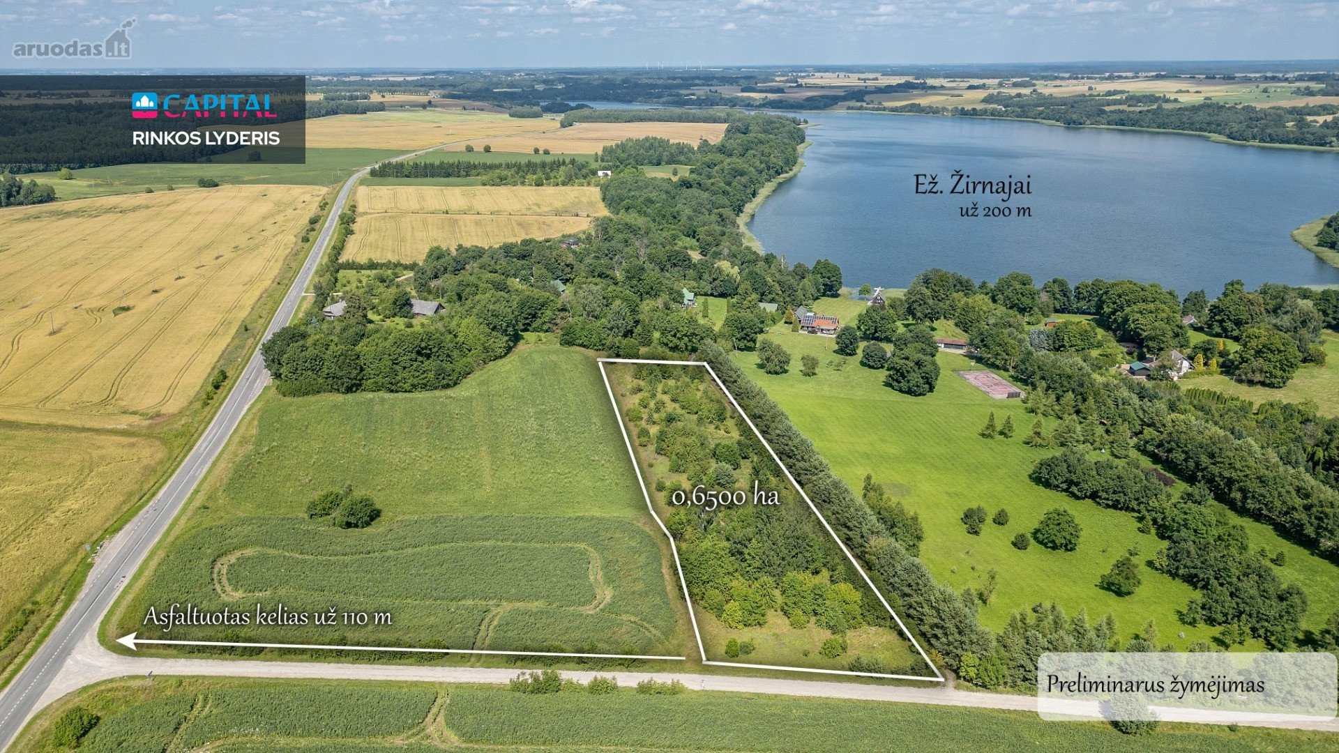 Netoli Žirnajų ežero, Širvintų r. sav.,