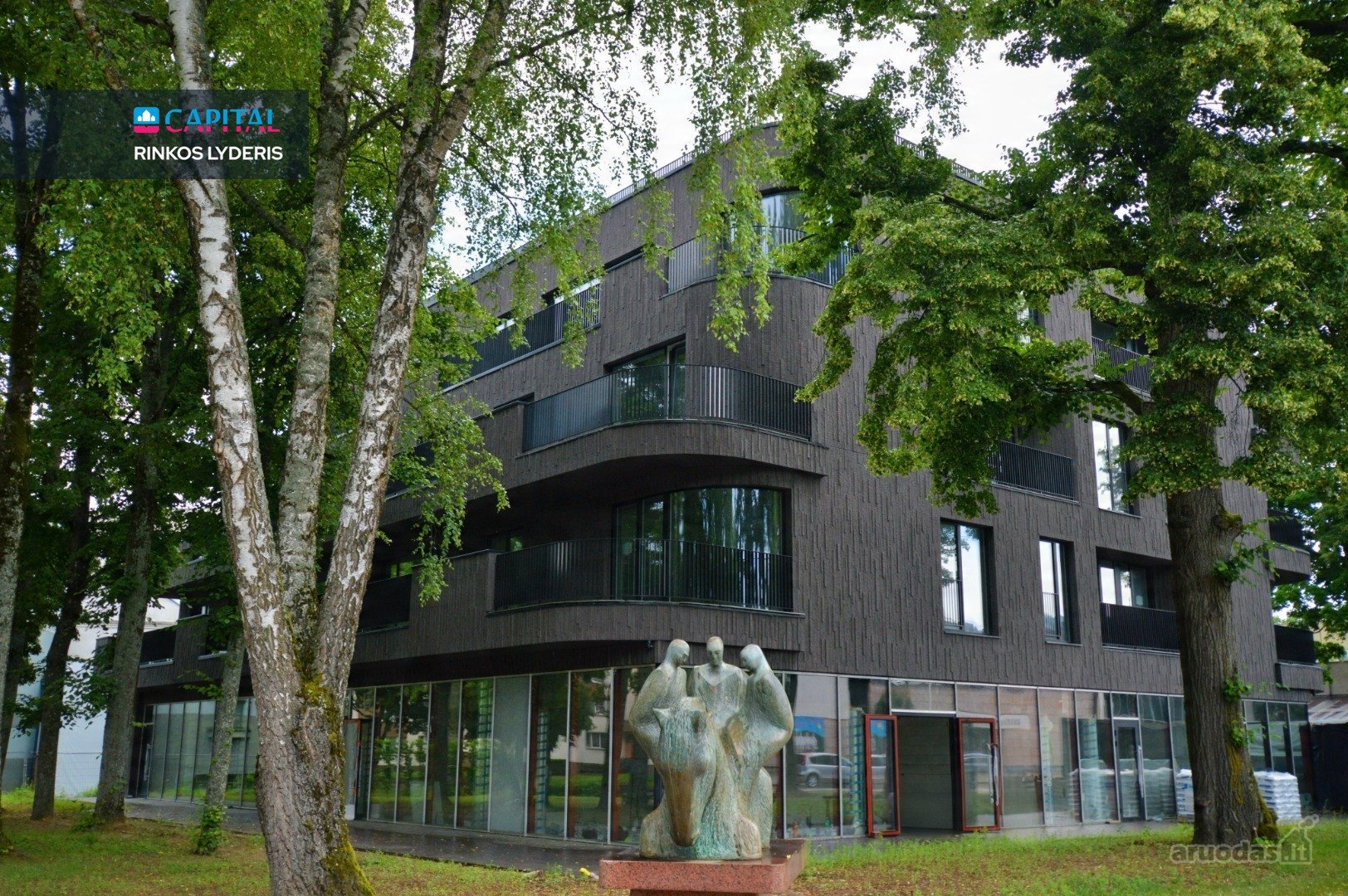 Pačiame Birštono Centre, Jaunimo Gatvėje,