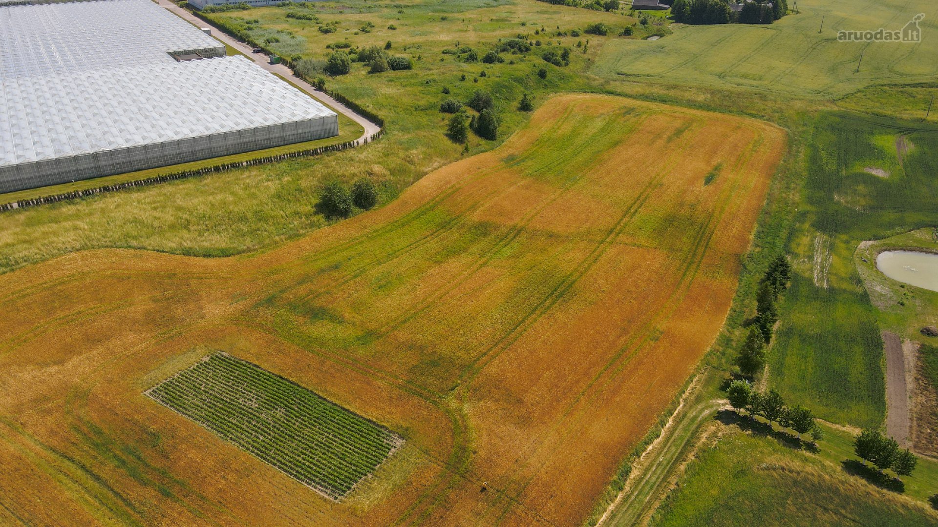 Parduodamas 82 arų sklypas, kurį galima