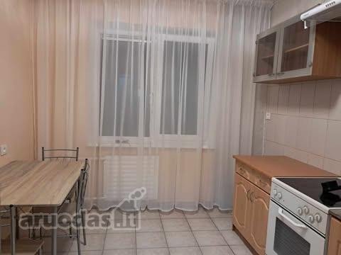 Nuomojamas 1 kambario butas Žemuosiuose