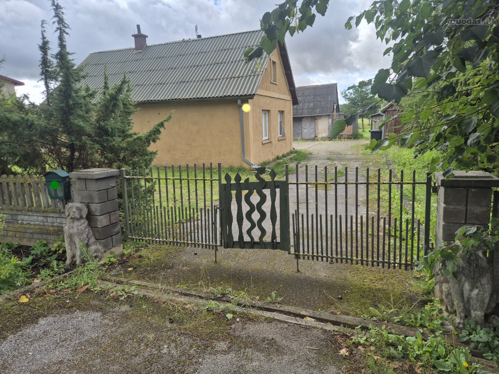 Nauja Sumažinta Kaina!