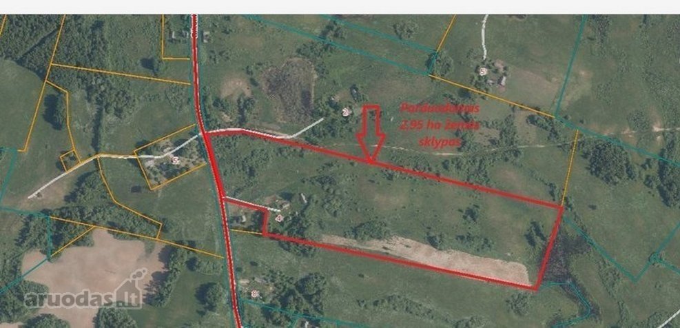 Parduodama 2,95 ha iš bendro 11,8261 ha ploto