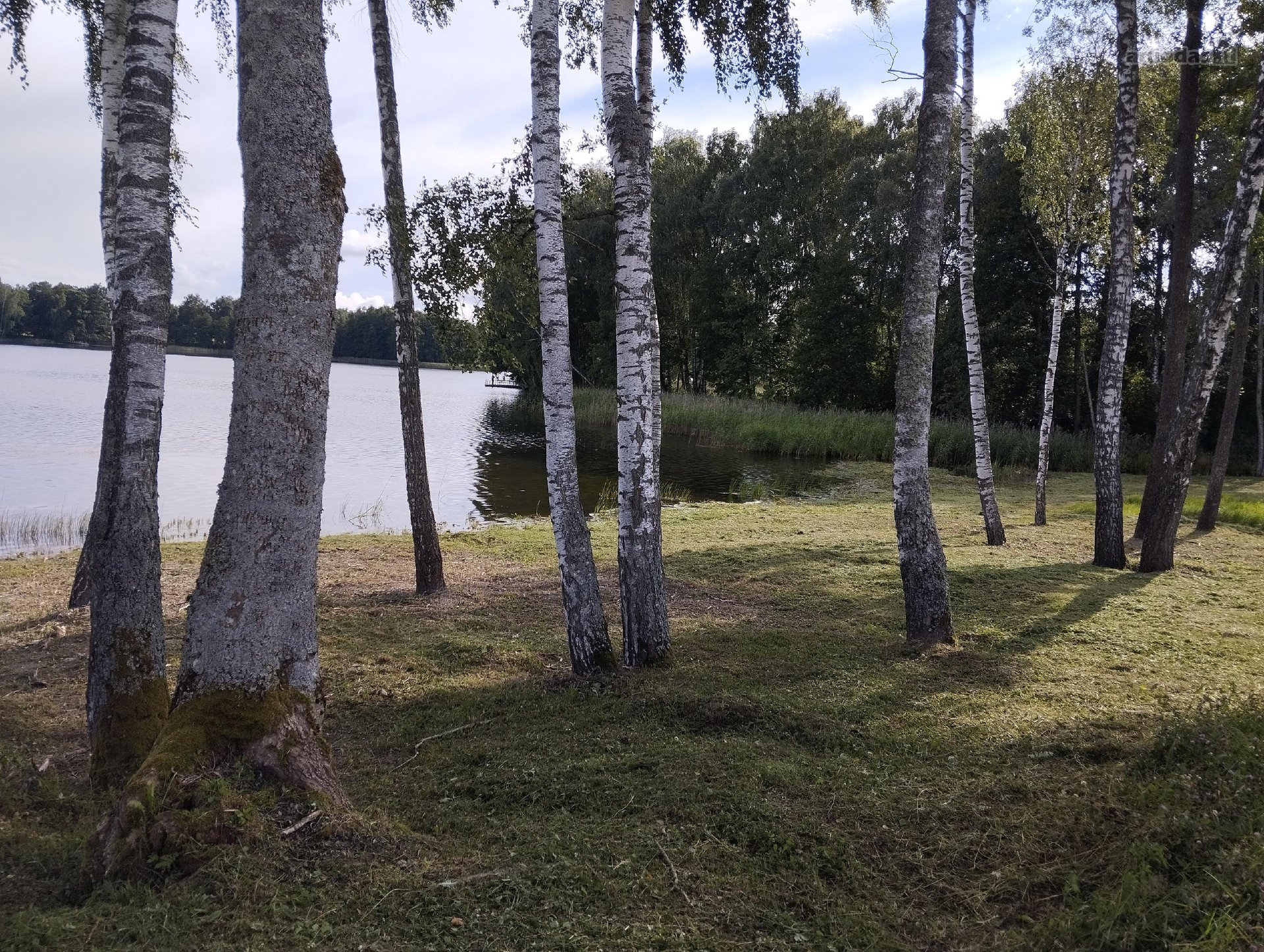 Parduodamas 30 arų sklypas Aigėlų 8 ,Molėtų