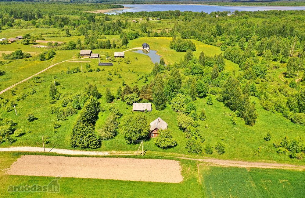 Kalvų, Klonių Ir Miškų Apsuptyje, Labanoro