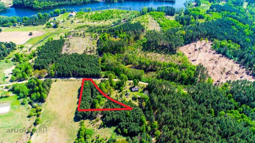 Sklypas Vilkanastruose 600 m nuo Juodojo