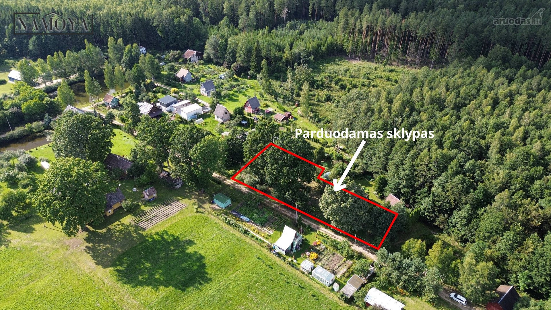 Prienų rajone, Papilvio kaime, Narcizų
