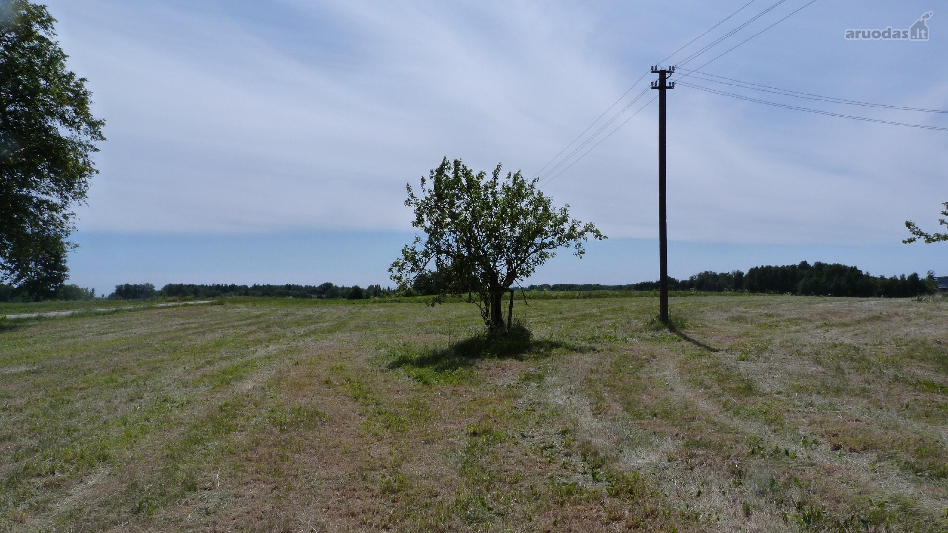 Parduodamas 4,72 ha žemės ūkio paskirties