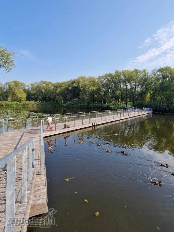 Mokyklos gatvėje priešais Trinyčių parką