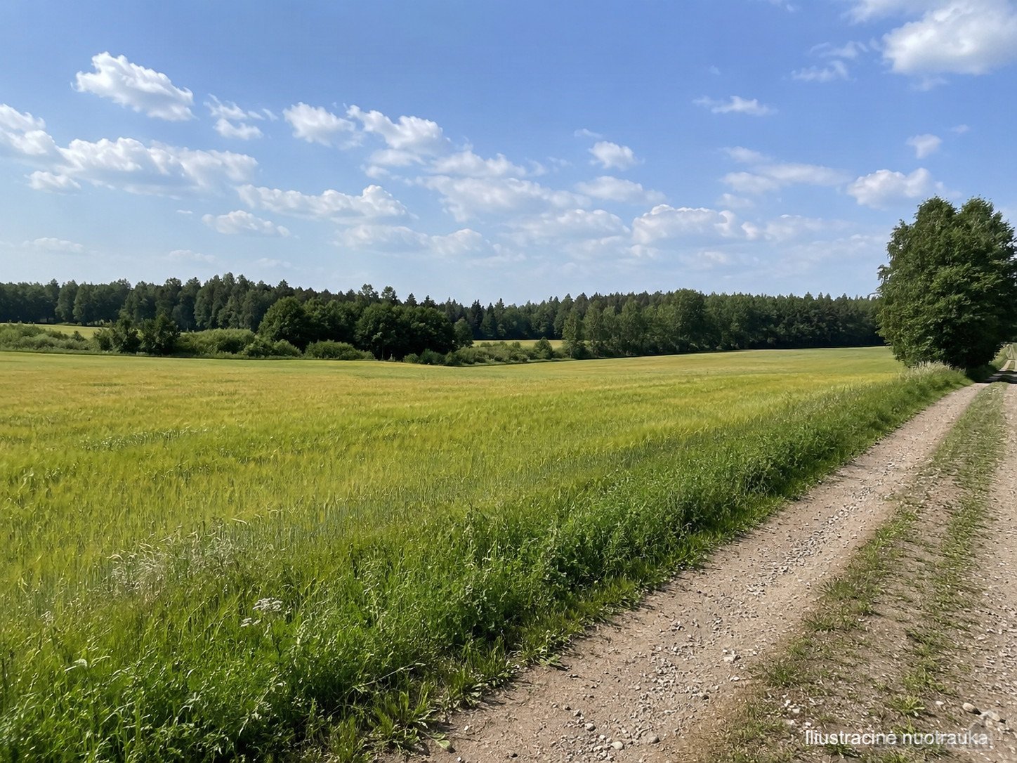 Šalčininkų r. sav., Kudlių kaime, parduodami