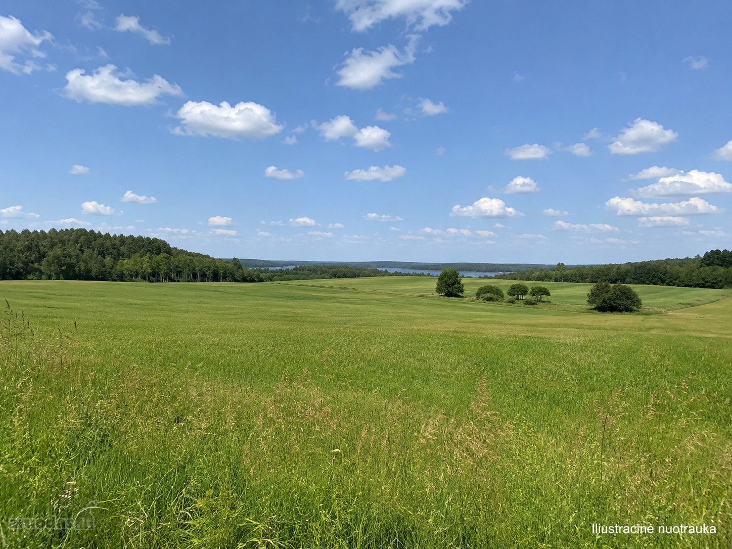 Parduodamas erdvus 5,44 ha žemės ūkio