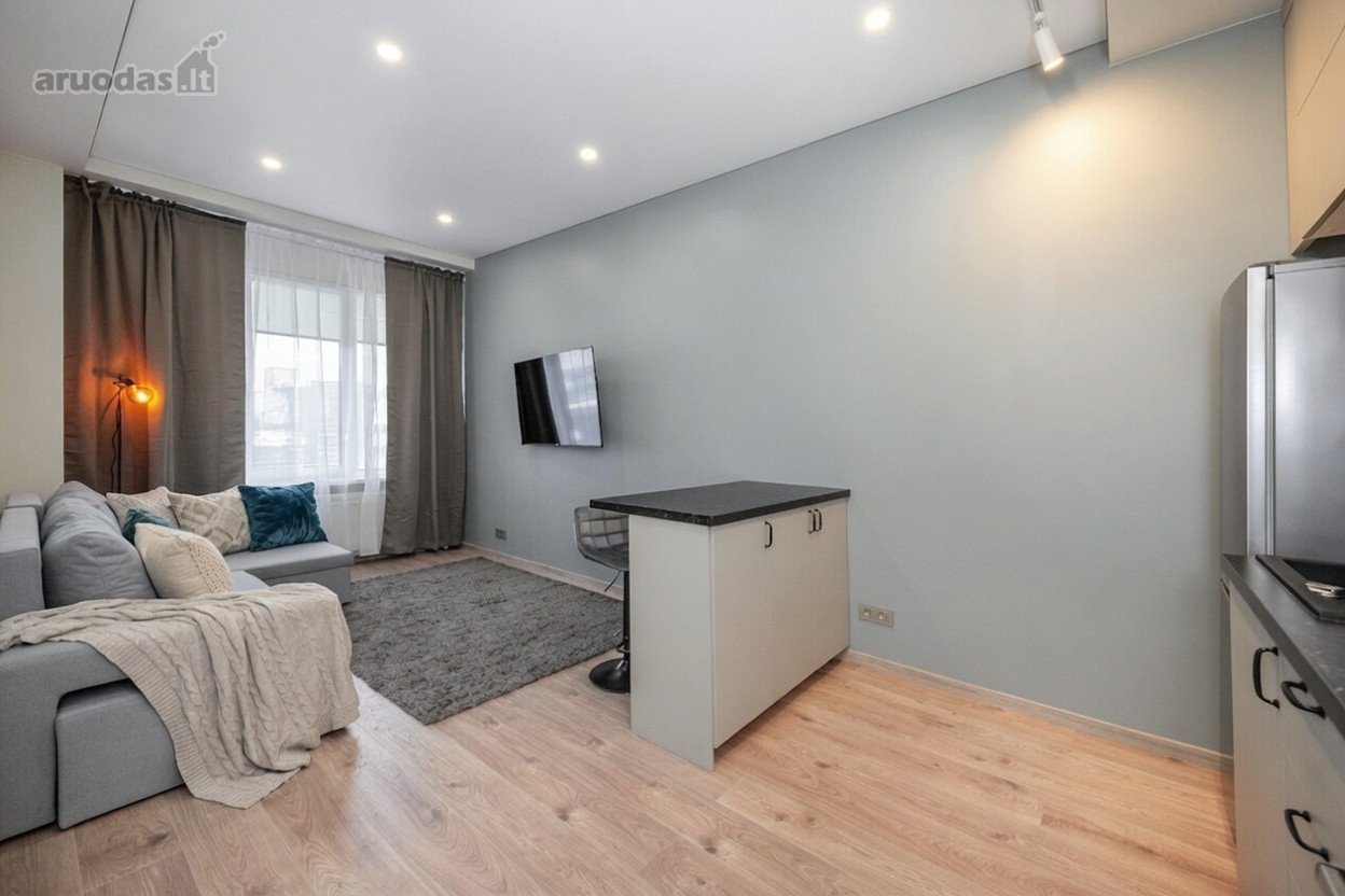 1 kambario loftas - Vilnius, Aukštieji