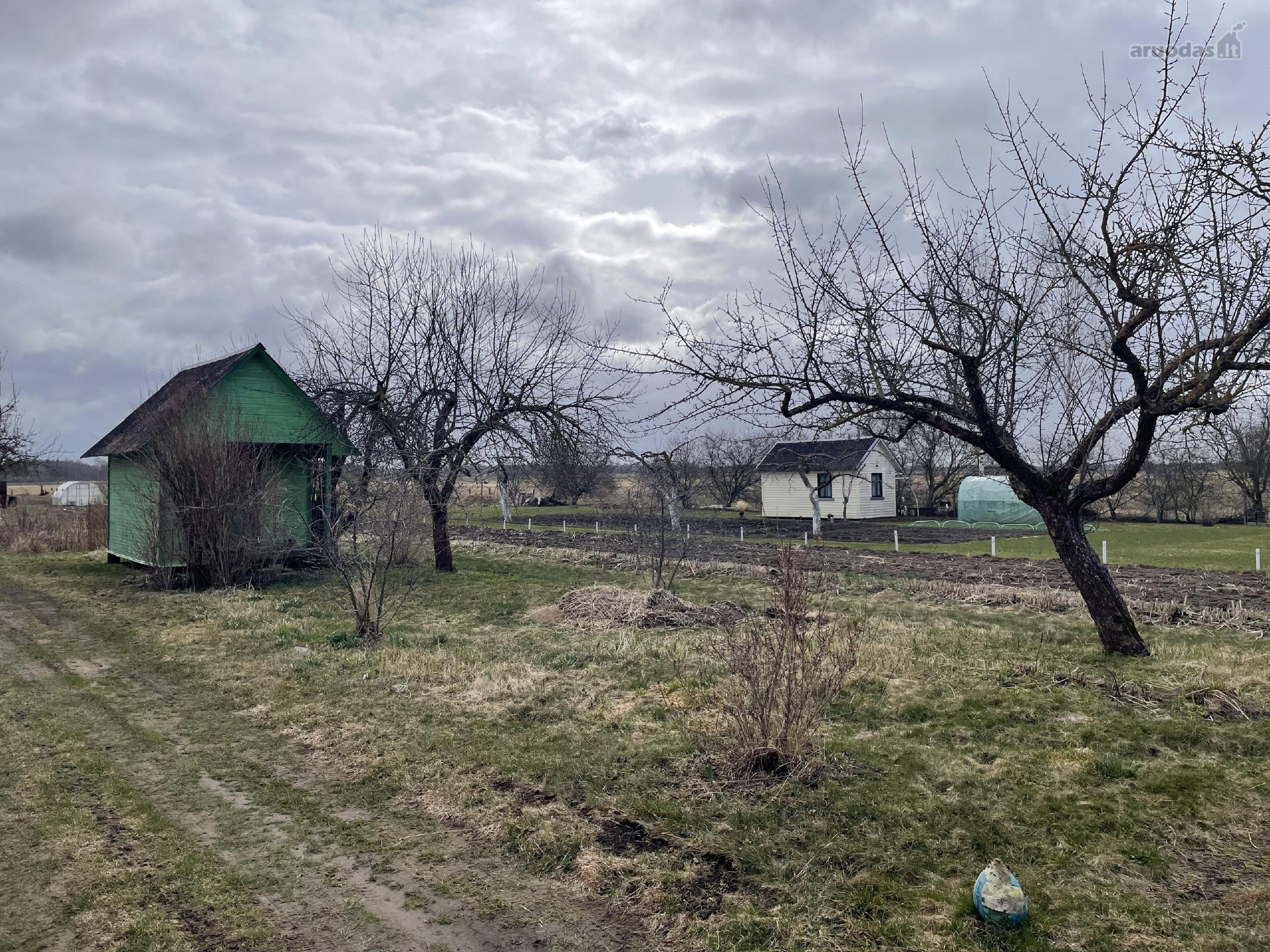 Parduodamas 6,1 a sodo sklypas Biržų sodų