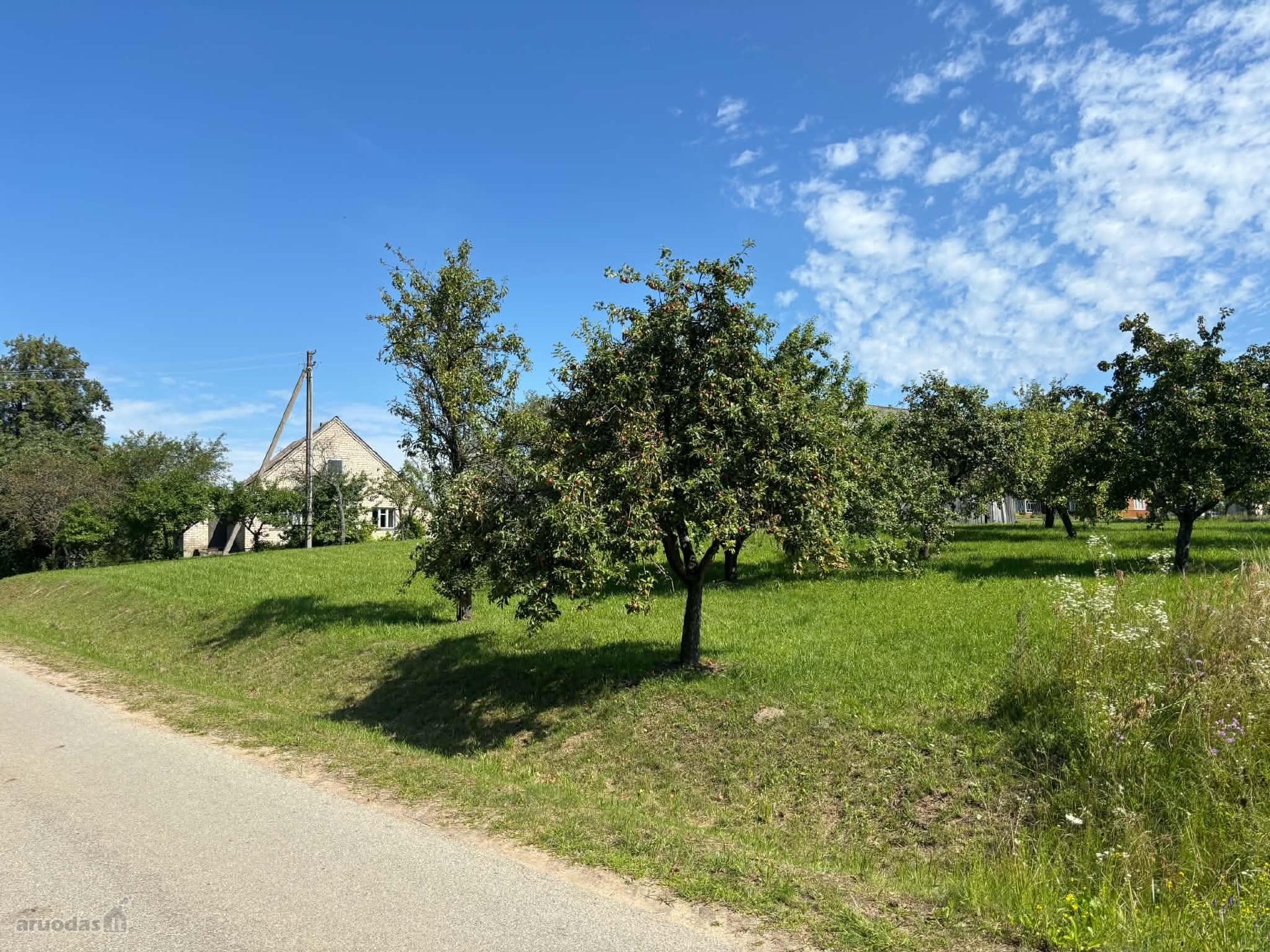 Parduodama puiki, išskirtinė sodyba,