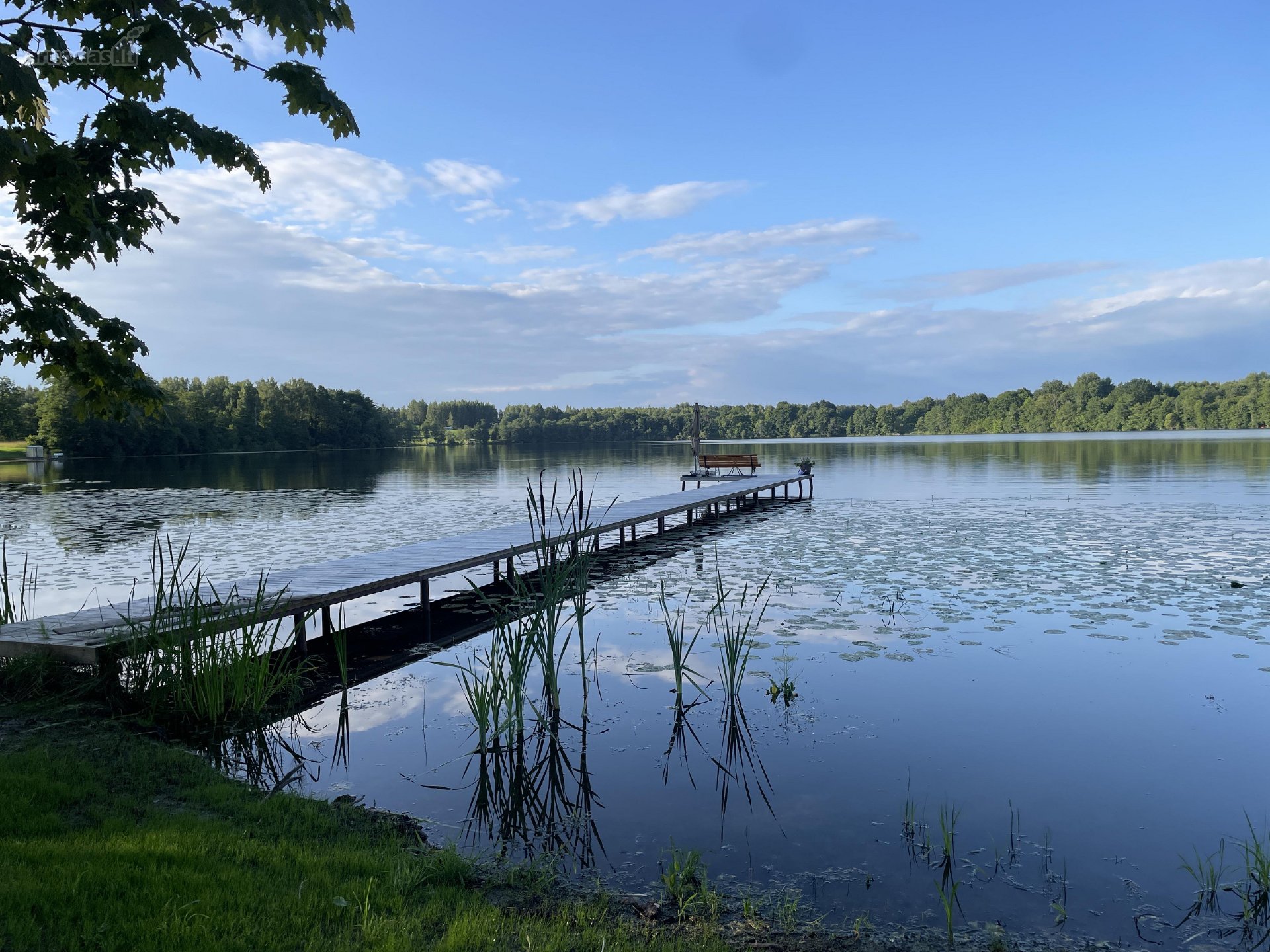 Parduodamas 5 ha Žemės Ūkio Paskirties