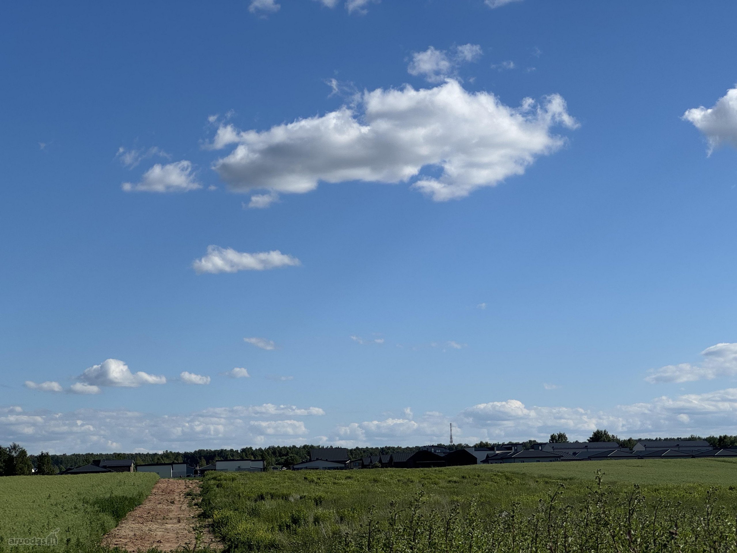 Parduodamas 9,83 a namų valdos sklypas