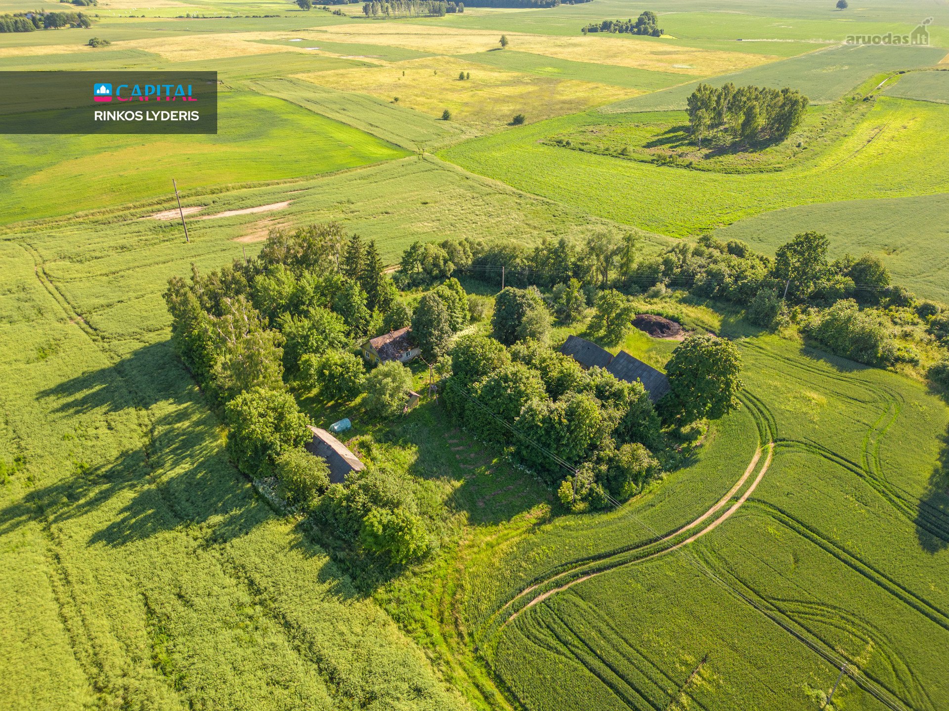 Parduodama Alytaus Rajone Plasapninkų K. 1/2