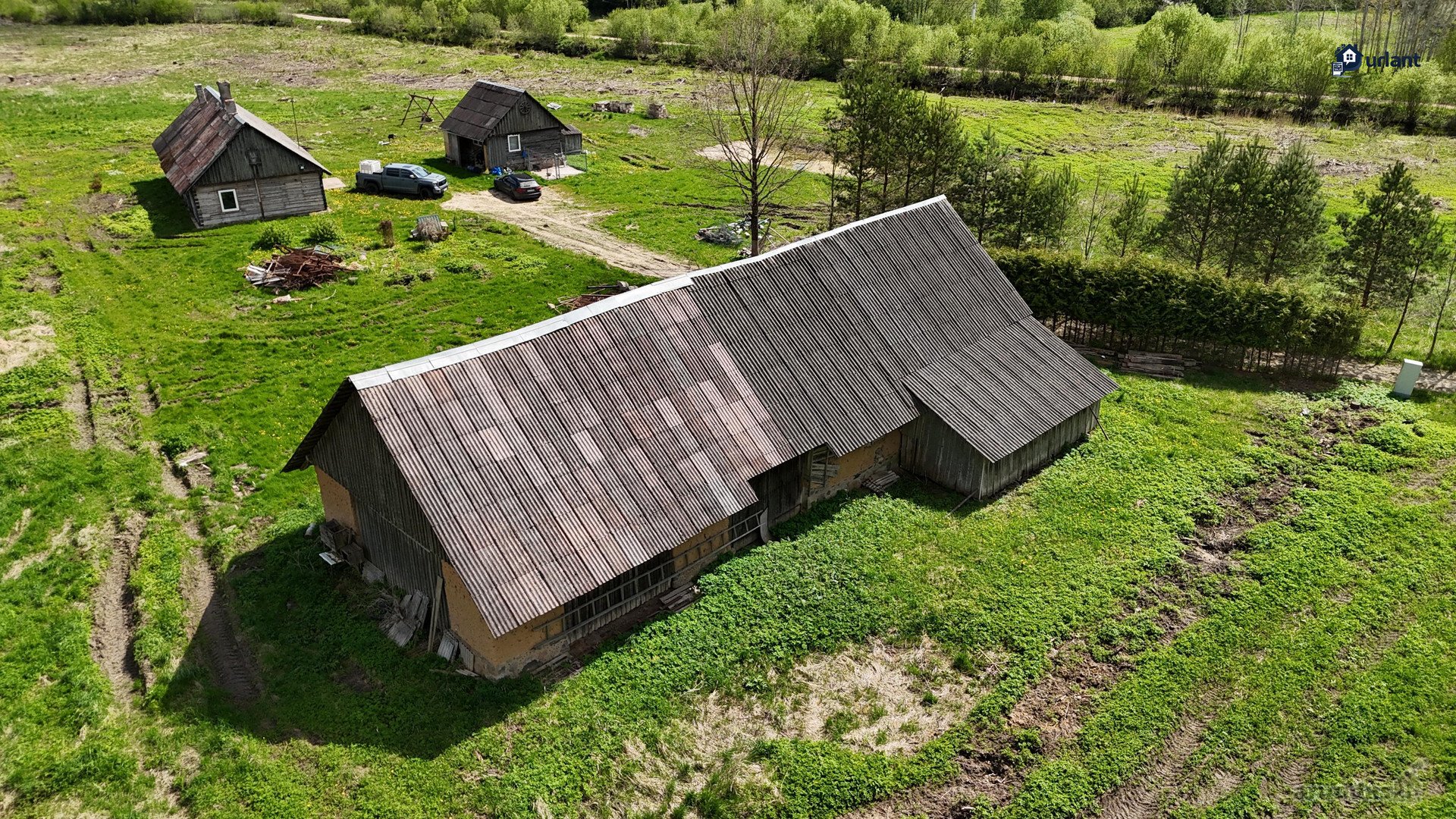 Puikiai Tinka Norintiems Iškirtinumo Ir