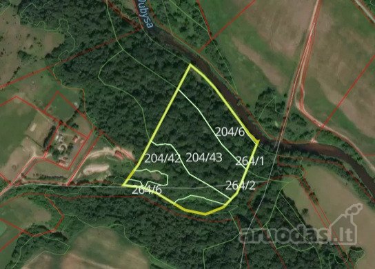 Parduodamas 12 ha miškas Raseinių raj.