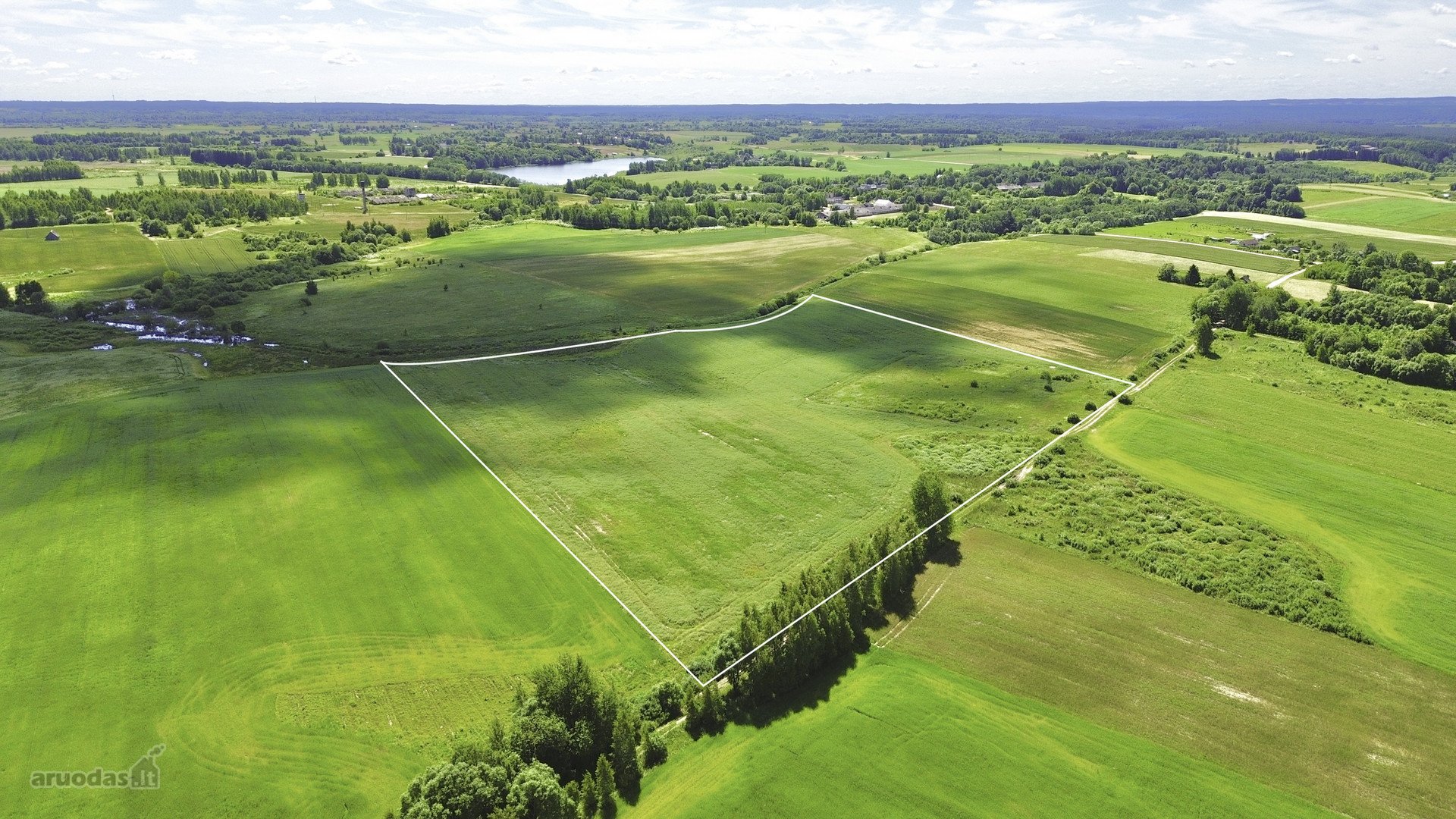 Parduodamas didelis 7,7439 ha žemės ūkio