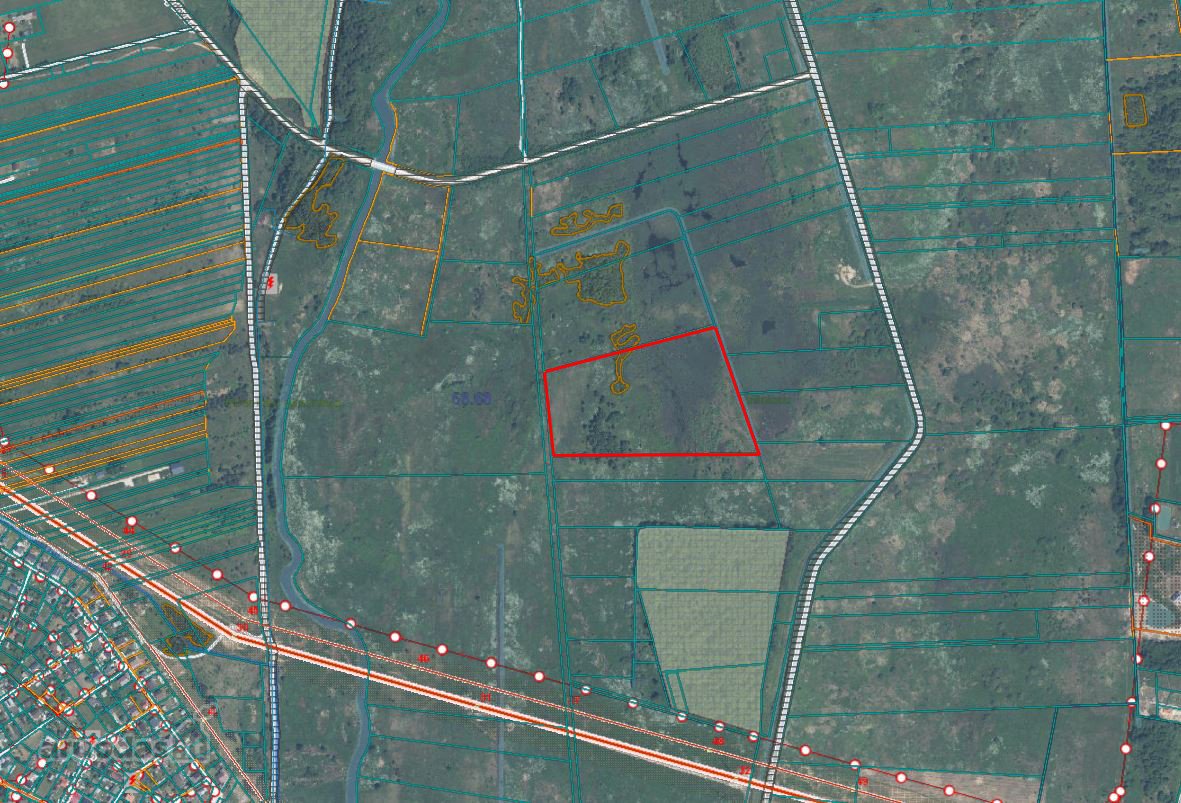 Parduodamas 4,5051 ha žemės ūkio paskirties