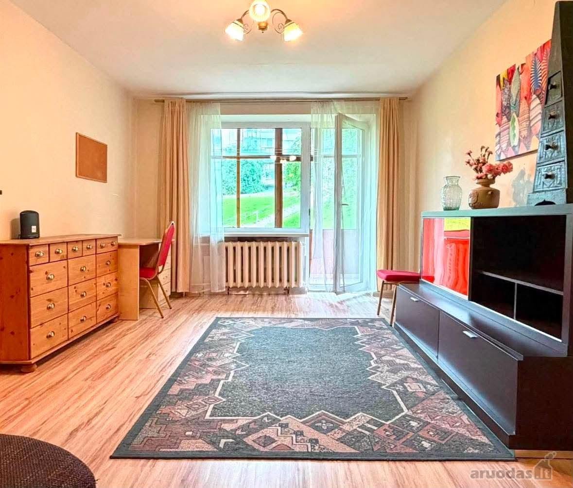 Nuomojamas Jaukus 1 Kambario Butas Šnipiškėse! ?