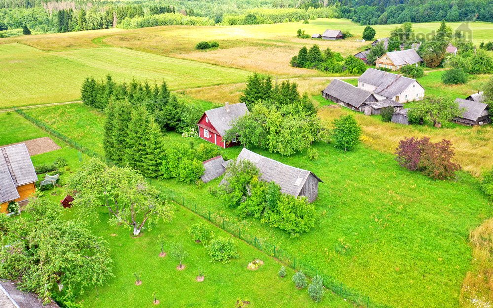 Tvarkinga, Jauki Sodyba Kalvų Ir Miškų