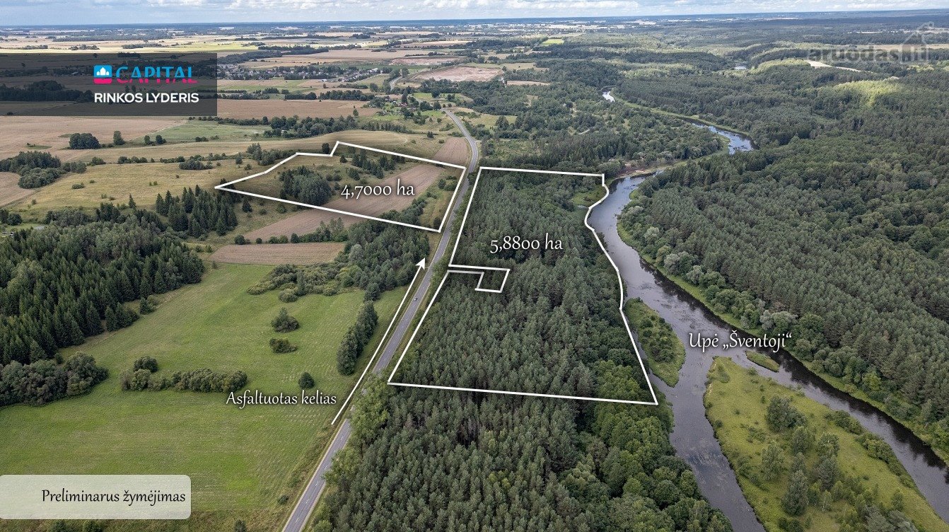 Anykščių raj., Pagojės II k. parduodami miškų