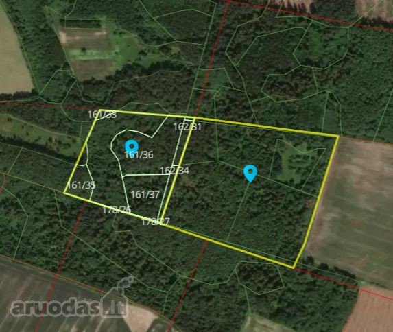 Parduodami du besiribojantys miškai Plungės raj.
