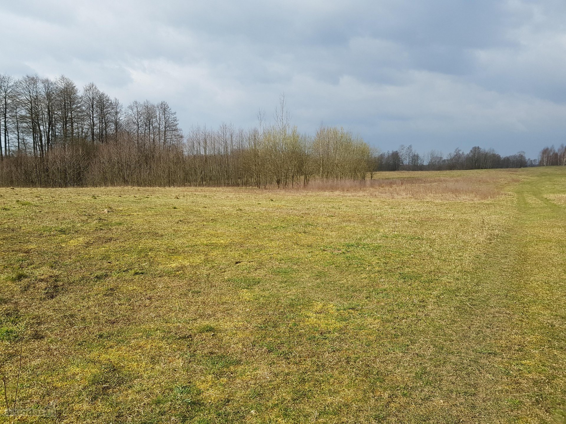 Parduodamas 3,00 ha žemės ūkio paskirties