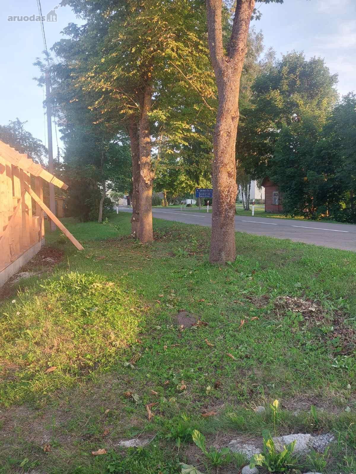 Parduodama sodyba Pašušvyje Radviliškio sen.
