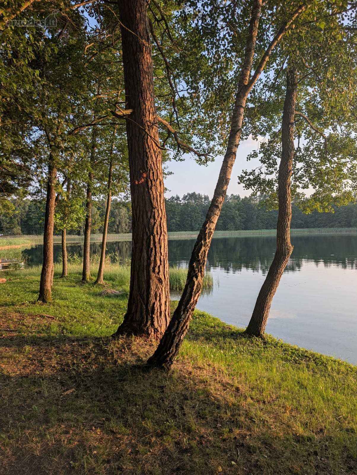 Lazdijų rajono savivaldybėje, Veisiejų