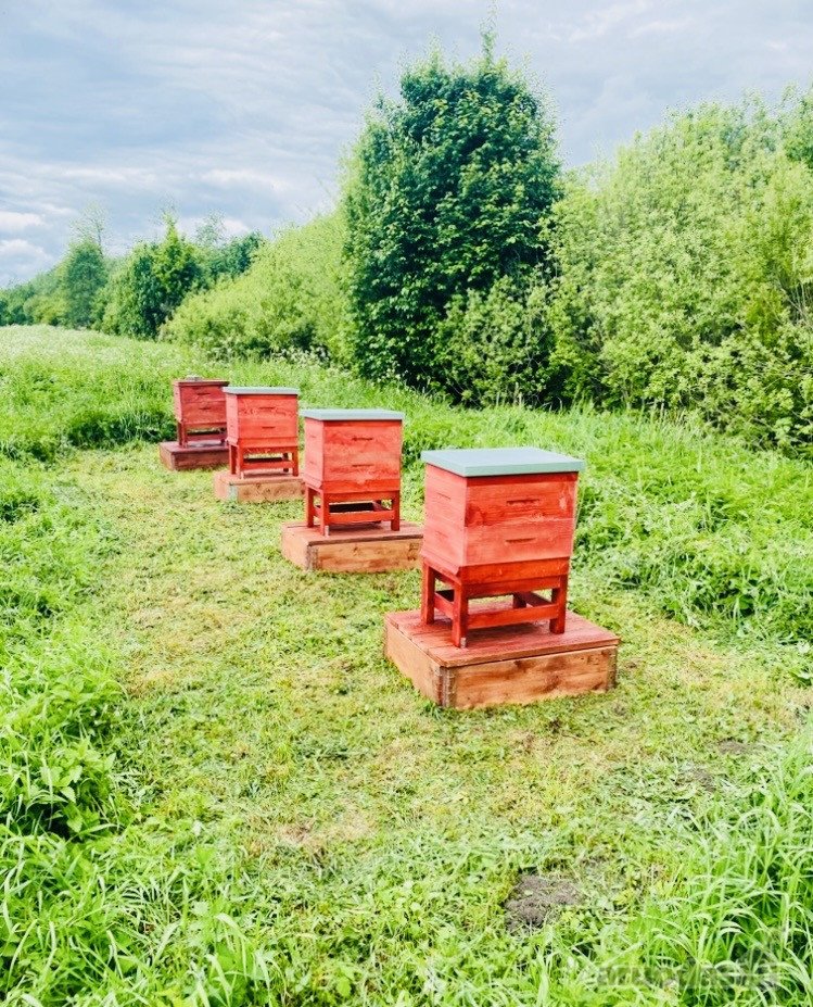 Parduodamas unikalus 1,67 ha žemės sklypas su