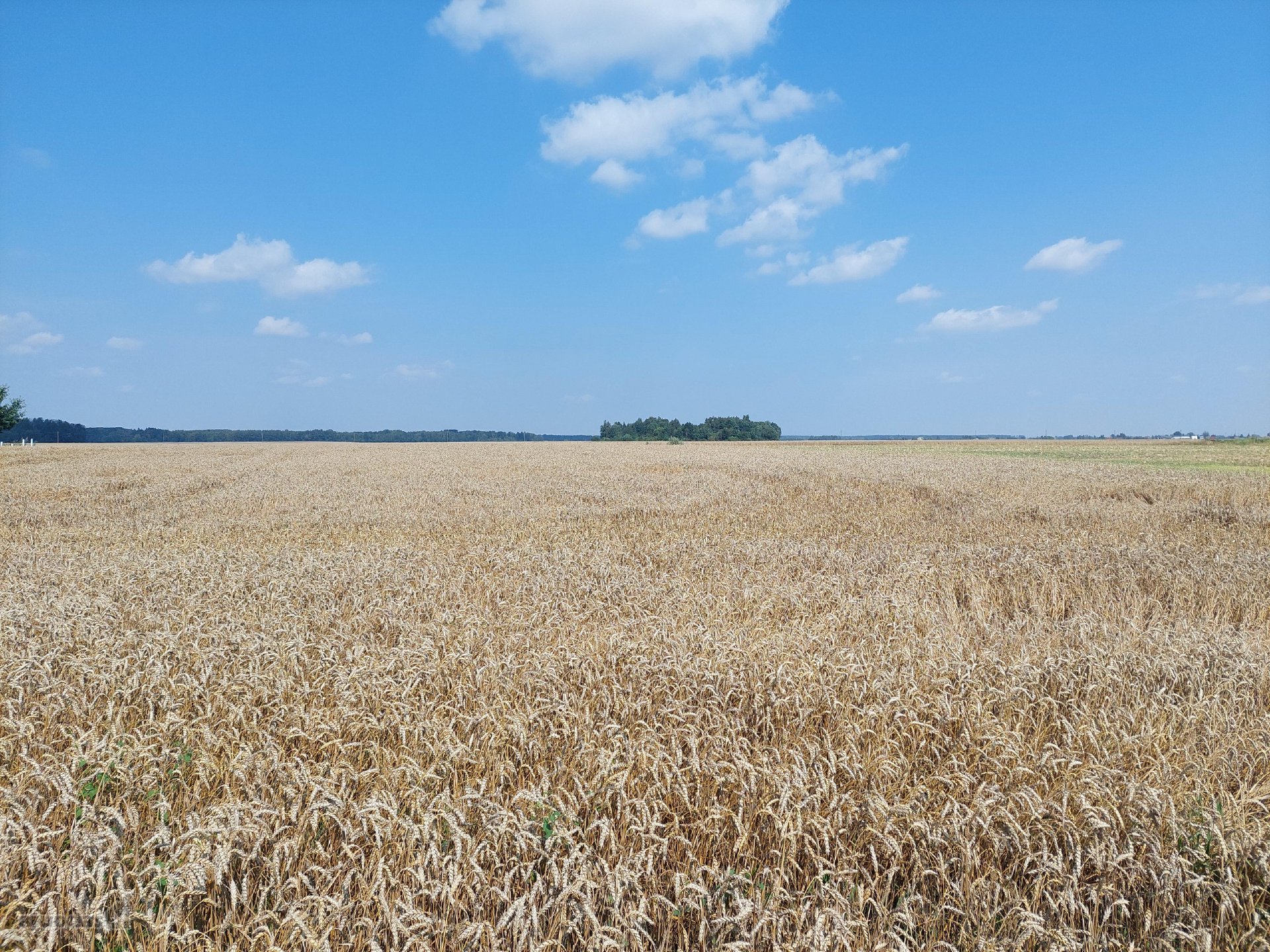 Parduodamas žemės sklypas Kėdainių r. Kilbisų