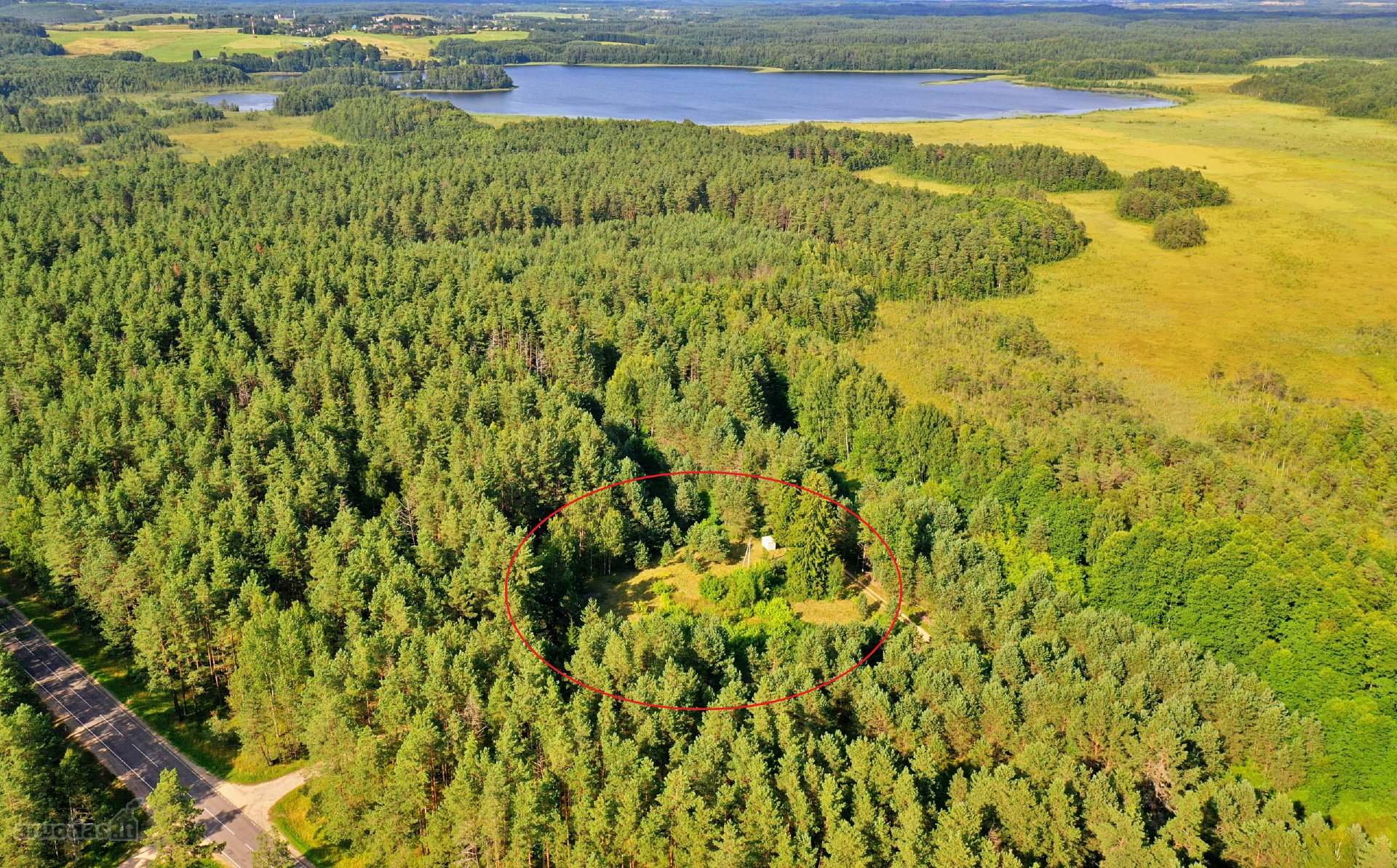 Zarasų rajone, Gailiutiškės vienkiemyje,