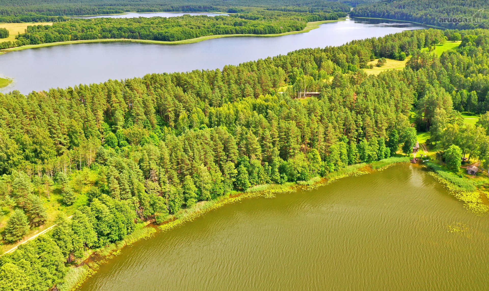 Sodybviete 1,60 ha su 200m smeletos ežero