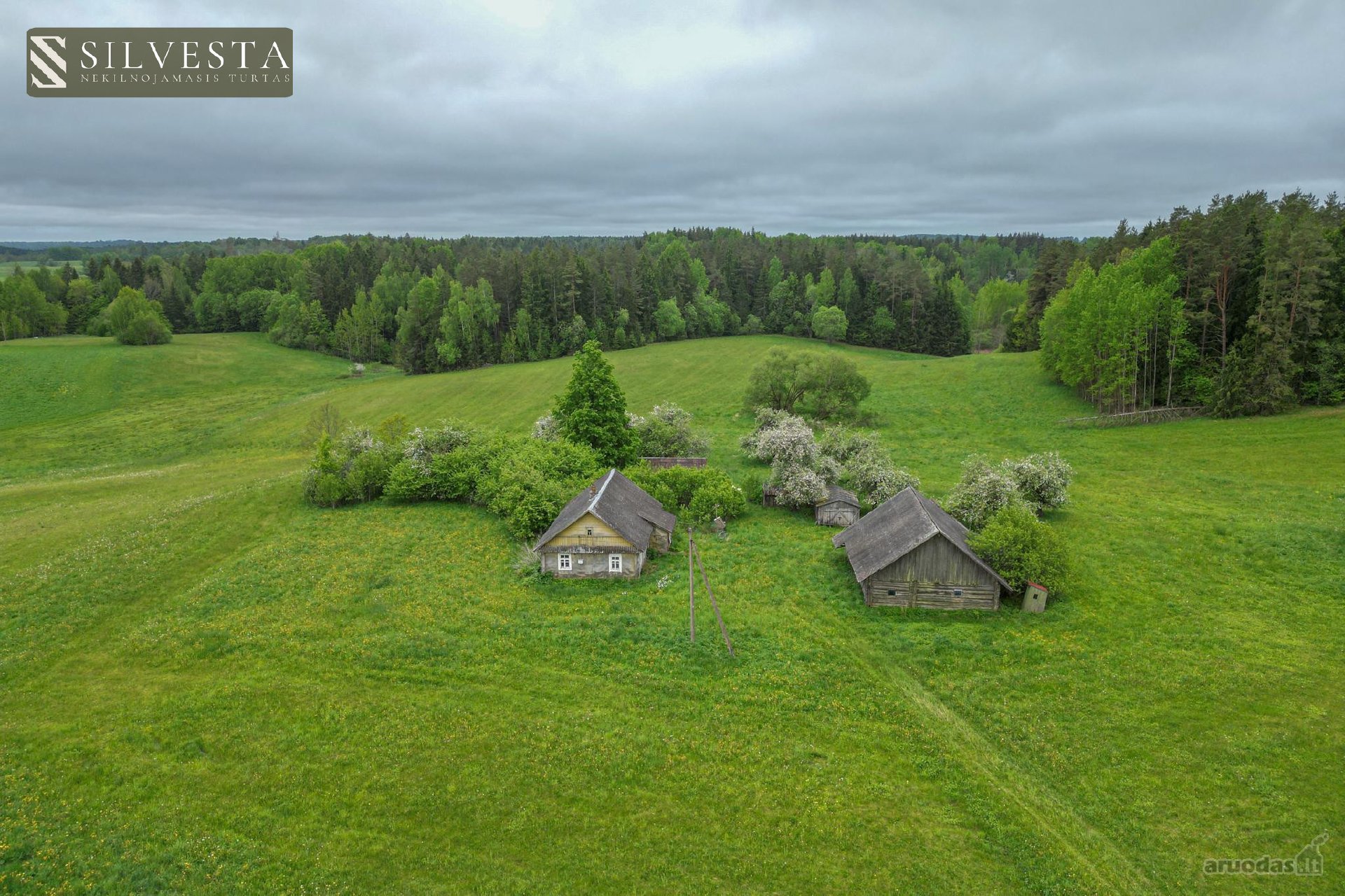 Parduodama 10,5 Ha Sodyba Su Mišku Ir Namų