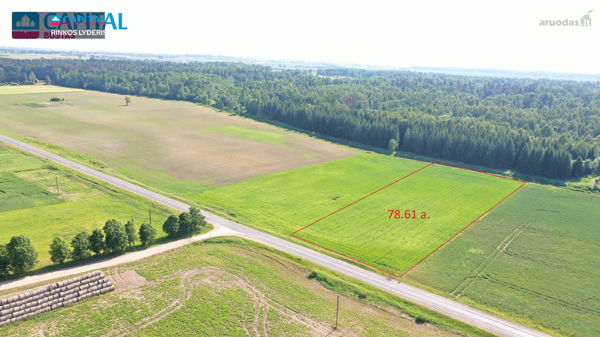 Parduodamas 78.61 a. žemės sklypas