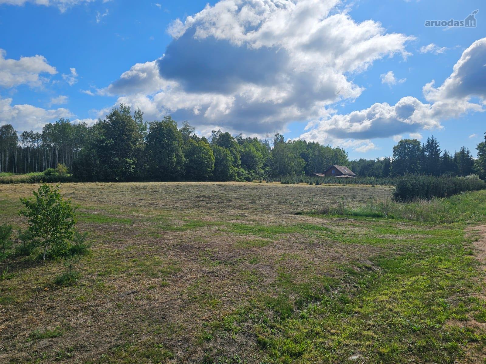 Sklypas prie Ančios ežero, 300m. nuo