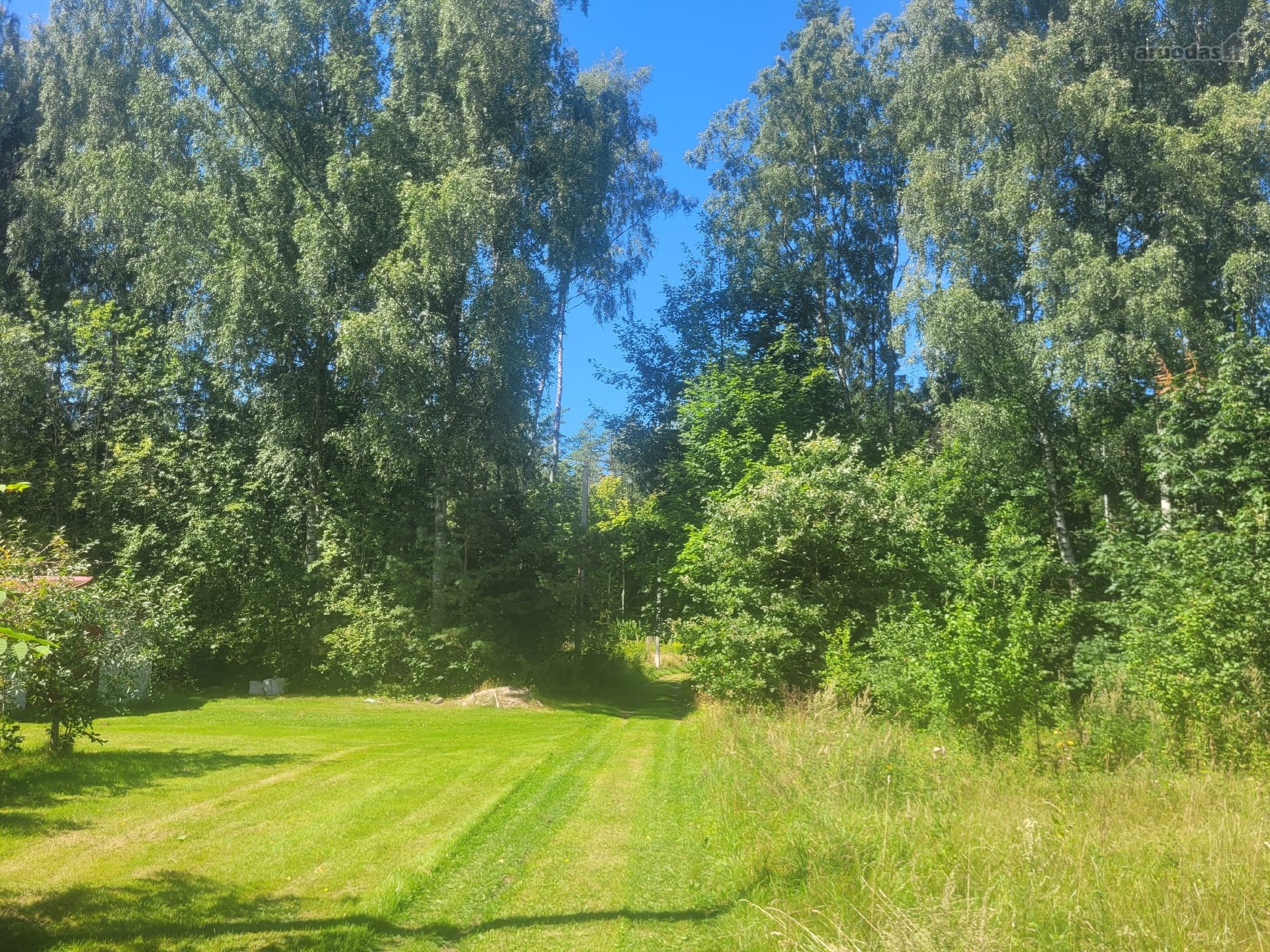 60 Arų Sklypas Miškų Apsuptyje – Vieta, Kurią