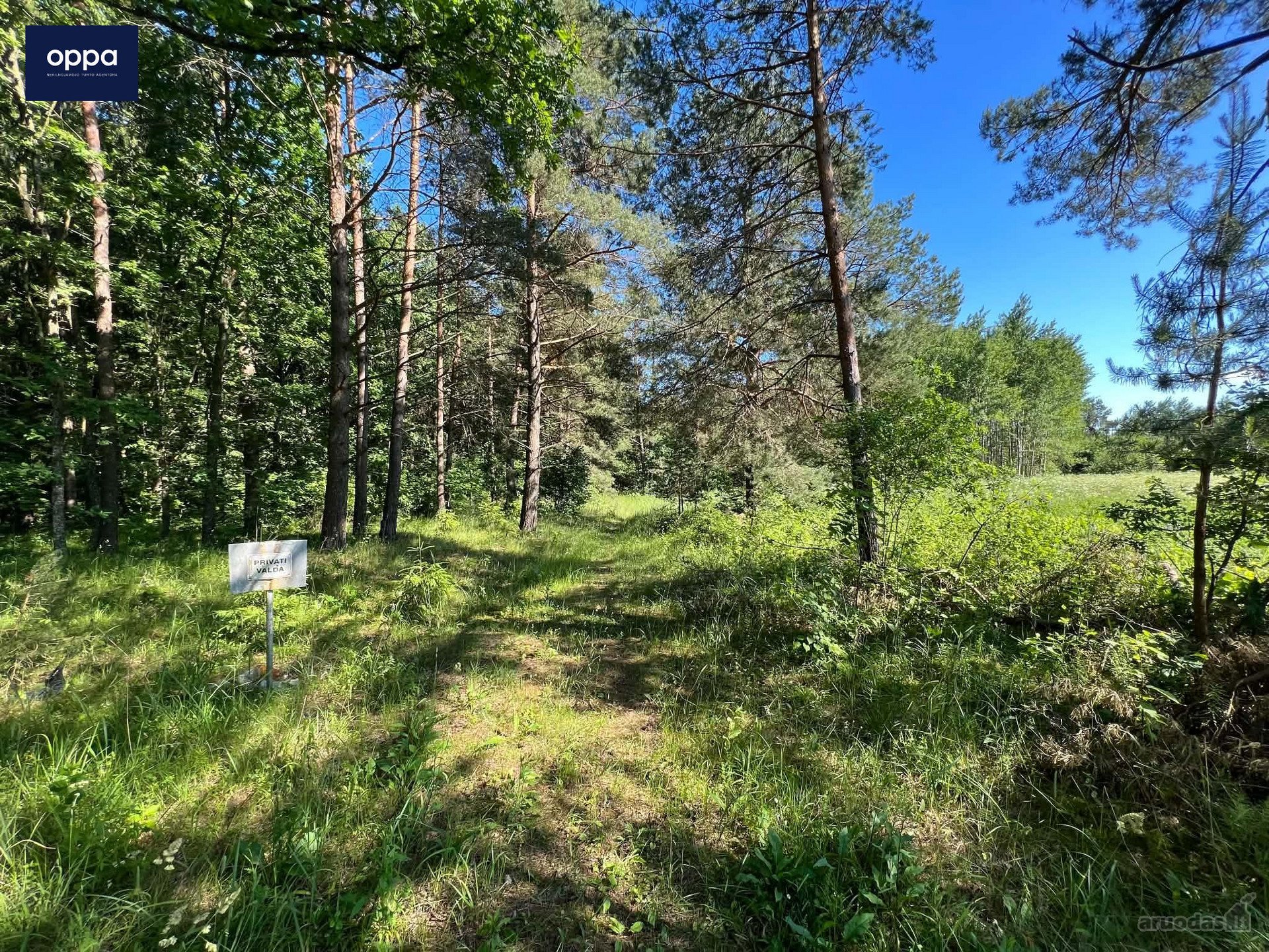 Parduodamas 3,10 ha žemės sklypas Ukmergės r.